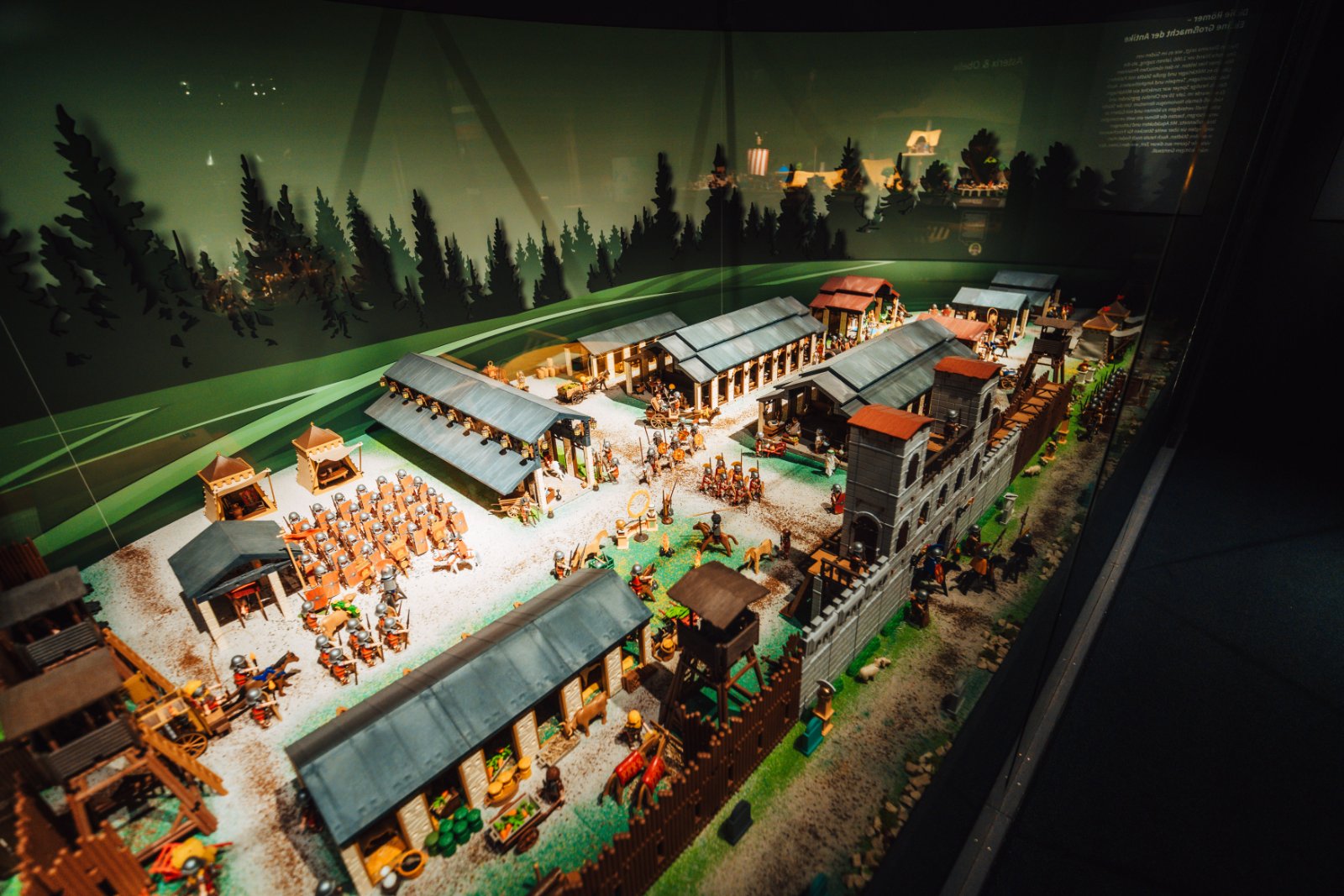 Roman army camp in the forest