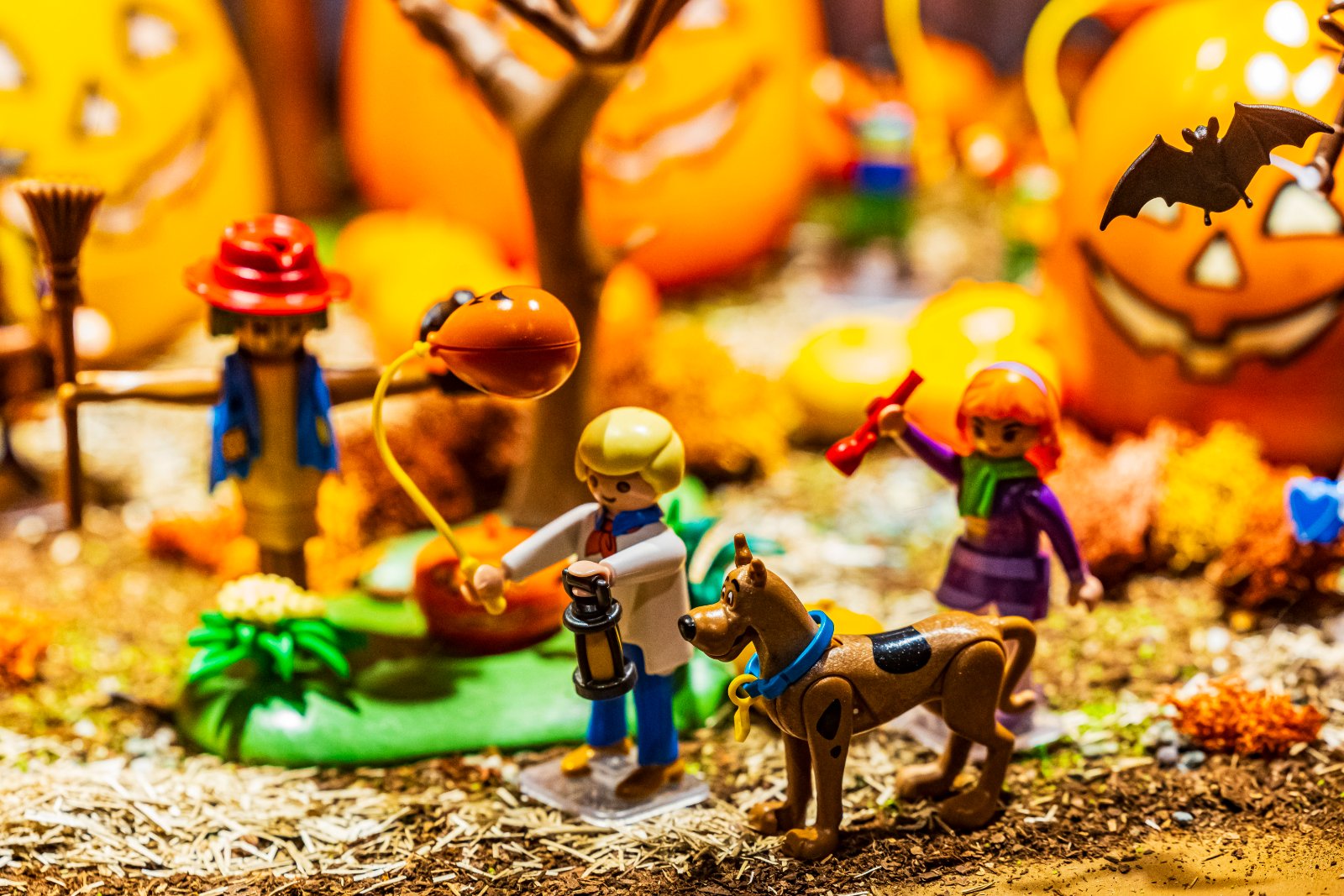 Scooby-Doo, Shaggy, Velma and Fred among the pumpkins